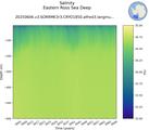 Time series of Eastern Ross Sea Deep Salinity vs depth